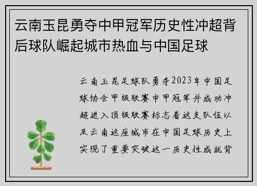 云南玉昆勇夺中甲冠军历史性冲超背后球队崛起城市热血与中国足球 云南玉昆勇夺中甲冠军历史性冲超背后球队崛起城市热血与中国足球